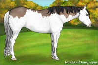 Horse Color:Bay Roan Dun Splash 