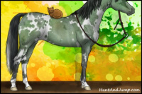 Horse Color:White Spotted Brown Ice Dun Mushroom 
