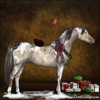 Horse Color:White Spotted Liver Red Dun Ice Brindle 