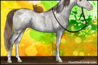 Horse Color:White Spotted Liver Red Dun Ice Pearl