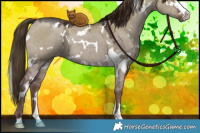 Horse Color:White Spotted Liver Red Dun Ice 
