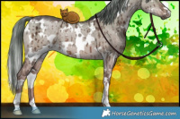 Horse Color:White Spotted Liver Red Dun Ice Mushroom Brindle