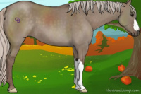 Horse Color:Silver Grullo 