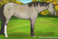 Horse Color:Smoky Grullo 