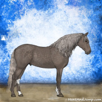 Horse Color:Silver Black 