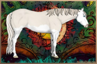 Horse Color:Smoky Creme Dun Splash 