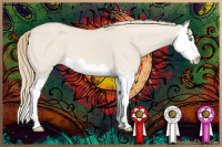 Horse Color:Smoky Creme Dun Splash 