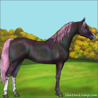 Horse Color:Watercolor Midnight Bay Onyx 