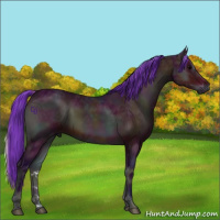 Horse Color:Watercolor Midnight Bay Ice Onyx 