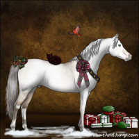 Horse Color:Gray White Spotted Brown Pearl Dun Mushroom Sabino Brindle 