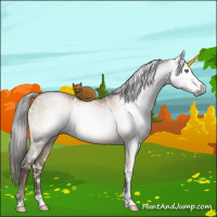 Horse Color:Gray White Spotted Brown Pearl Dun Mushroom Brindle 