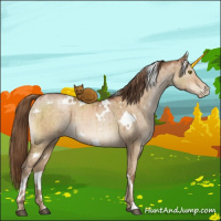 Horse Color:White Spotted Brown Pearl Dun Brindle 