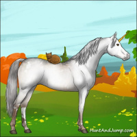 Horse Color:Gray White Spotted Liver Red Dun Brindle