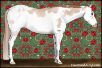 Horse Color:White Spotted Buckskin Roan Pearl Splash Frame Appaloosa 