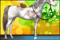 Horse Color:Liver Red Dun Ice Sabino Splash Tobiano Brindle