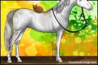Horse Color:Gray White Spotted Liver Red Dun Pearl Sabino Splash Brindle 