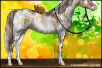 Horse Color:White Spotted Liver Red Dun Onyx Rabicano Brindle 