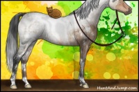 Horse Color:White Spotted Brown Ice Dun 