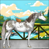 Horse Color:White Spotted Liver Red Dun Ice Sabino Splash 