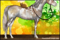 Horse Color:White Spotted Silver Brown Ice Pearl Onyx Brindle 
