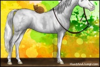 Horse Color:White Spotted Chocolate Silver Smoky Blue Onyx Chinchilla Ice Pearl