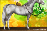 Horse Color:White Spotted Chocolate Silver Blue Onyx Chinchilla Ice