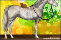 Horse Color:White Spotted Silver Buckskin Ice Pearl Onyx Brindle 