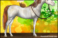 Horse Color:White Spotted Buckskin Pearl Onyx 
