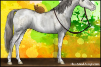 Horse Color:White Spotted Chocolate Palomino Ice Pearl Onyx Mushroom Rabicano Brindle