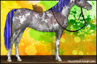 Horse Color:Painted Plaid White Spotted Chocolate Palomino Ice Pearl Onyx