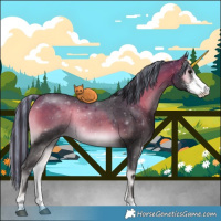 Horse Color:Painted Buckskin Onyx Sabino 