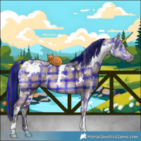 Horse Color:Painted Plaid  White Spotted Brown Ice Dun 
