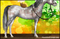 Horse Color:Plaid  White Spotted Brown Onyx 