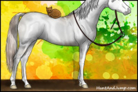 Horse Color:Gray White Spotted Liver Red Dun Pearl Sabino 