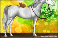 Horse Color:Gray White Spotted Liver Red Dun Sabino Splash Brindle 
