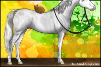 Horse Color:Gray White Spotted Chocolate Palomino Ice Pearl Dun Splash Rabicano Brindle 