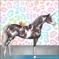 Horse Color:White Spotted Chocolate Silver Smoky Grullo Chinchilla Ice Sabino Brindle 