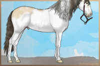 Horse Color:White Spotted Buckskin Dun Splash Frame 