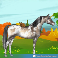 Horse Color:White Spotted Brown Onyx Brindle
