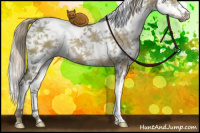 Horse Color:Chocolate Palomino Dun Mushroom Sabino Brindle