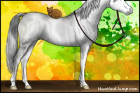 Horse Color:Gray Grullo Onyx Mushroom Sabino Brindle