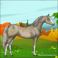 Horse Color:White Spotted Chocolate Palomino Ice Dun Mushroom Sabino Brindle 
