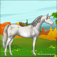 Horse Color:Chocolate Palomino Ice Pearl Dun Sabino Splash 