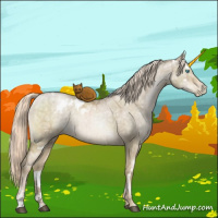 Horse Color:White Spotted Chocolate Palomino Ice Pearl Dun Sabino Rabicano Brindle 