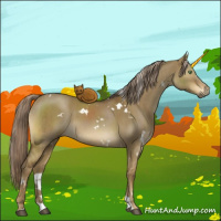 Horse Color:White Spotted Chocolate Palomino Dun Brindle 