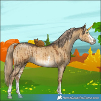 Horse Color:Chocolate Palomino Dun Sabino Brindle 