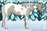 Horse Color:Silver Smoky Blue Roan Tobiano 