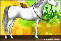 Horse Color:Liver Chestnut Frame 