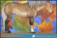 Horse Color:Silver Buckskin Dun Sabino Tobiano Rabicano 