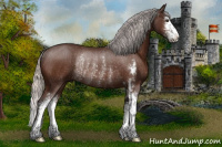 Horse Color:Silver Brown Sabino Rabicano 